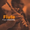 Flute Plays Chorinho, Vol. 3