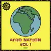 Intro - Afro Nation, Vol. 1 (feat. P Montana) song lyrics