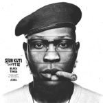 Seun Kuti & Egypt 80' - Theory of Goat and Yam