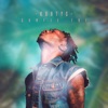 Kurtys - Confie-toi
