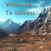 Vreau să Te slăvesc - Single
