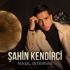 Nasıl İstersin - Single