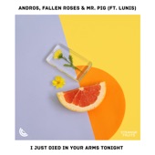I Just Died In Your Arms Tonight (feat. Andros) artwork