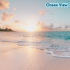 Ocean View - Single