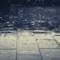 In the Rain - Denny Lloyd lyrics