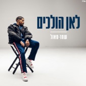 לאן הולכים artwork