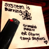System is Burning artwork