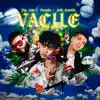 Vacile - Single album lyrics, reviews, download