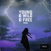 Young & Wild & Free artwork