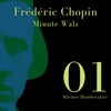 Frédéric Chopin - Minute Waltz