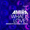 What is Love? (Mcdonald & Jannetta Remixes) - Single album lyrics, reviews, download