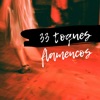 33 Toques Flamencos