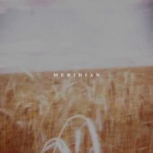Meridian artwork