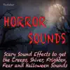 Horror Sounds - Scary Sound Effects to Get the Creeps, Shiver, Frighten, Fear and Halloween Sounds album lyrics, reviews, download