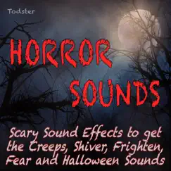 Organ Sound in an Old Caslte: Bach Toccata Intro - Horror Music Song Lyrics