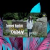 Tampek Bapijak Nan Lah Taban - Single