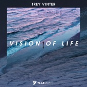 Vision of Life artwork