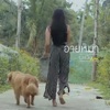 บ.เบิ้ล สามร้อย - อายหมา