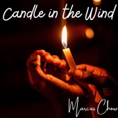 Candle in the Wind artwork