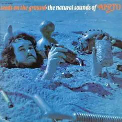 Seeds On the Ground - The Natural Sounds of Airto by Airto album reviews, ratings, credits