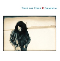 Tears For Fears Ablum Cover