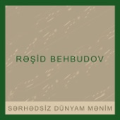 Bizim Şəhər artwork