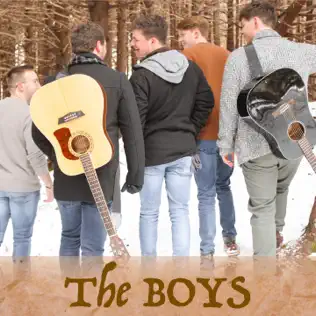 descargar álbum The Boys - The Boys