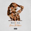 DANSA TILL MISÄR by HAVAL, Manny Flaco iTunes Track 1