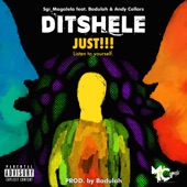 Ditshele (feat. Badulah & Andy Collars) artwork