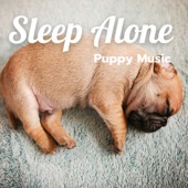 Sleep Alone Puppy Music artwork