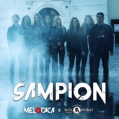 Šampion (feat. Slza zvířat) artwork