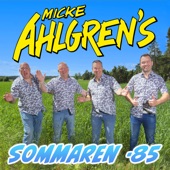 Sommaren -85 artwork