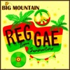 Reggae Inna Summertime - Single