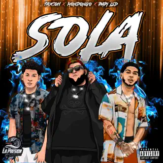 Sola (feat. Taycoh & Papi LSD) - Single by Poeta Callejero album reviews, ratings, credits