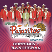 Corridos y Rancheras - Los Pajaritos de Tacupa