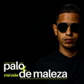 Palo De Maleza artwork