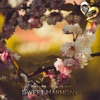 Sweet Harmony - Single