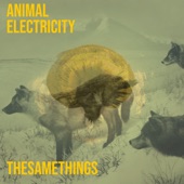 Animal Electricity - Even When