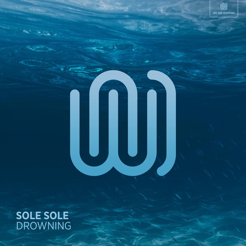Sole sole le. Sole sole le. Sole sole le. Обувь со следами лап. Sole sole le.
