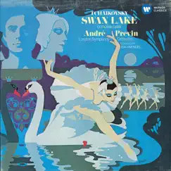 Swan Lake, Op. 20, Act 2: No. 13, Danses des cygnes - V. Pas d'action (Odette et le prince) [Andante - Andante non troppo - Allegro] Song Lyrics