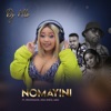 Noma Yini (feat. Professor, Ndu Shezi & Mdu) - Single