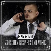 Zwischen Business und Musik artwork