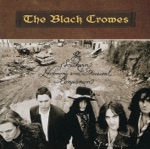 The Black Crowes - My Morning Song