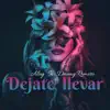 Déjate Llevar (feat. Danny Romero) - Single album lyrics, reviews, download