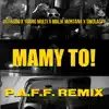 Mamy To! (P.A.F.F. Remix) - Single album lyrics, reviews, download
