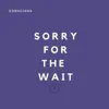 Sorry for the Wait - Single album lyrics, reviews, download