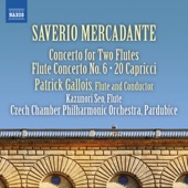 Flute Concerto No. 6 in D Major: III. Polacca. Allegro brillante artwork