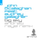 Big Sky (feat. Audrey Gallagher) [Andrew Rayel Extended Remix] artwork