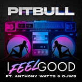 Pitbull - I Feel Good