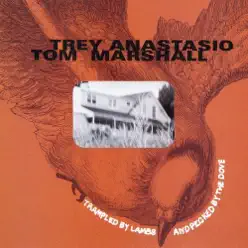 Trampled by Lambs and Pecked by the Dove - Trey Anastasio Trampled by Lambs and Pecked by the Dove - Trey Anastasio